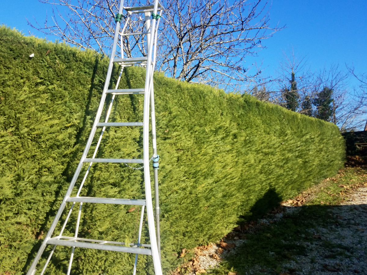 hedge_cutting10