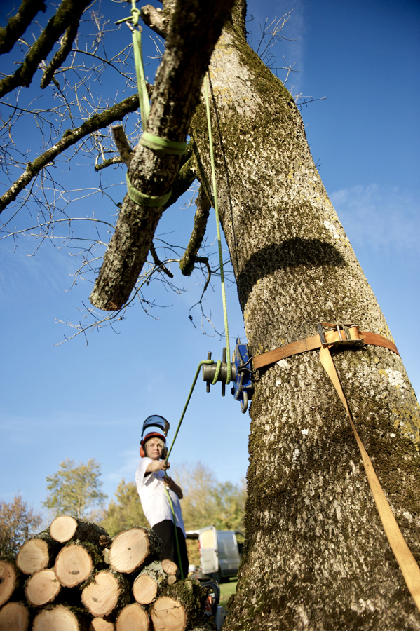 pruning1