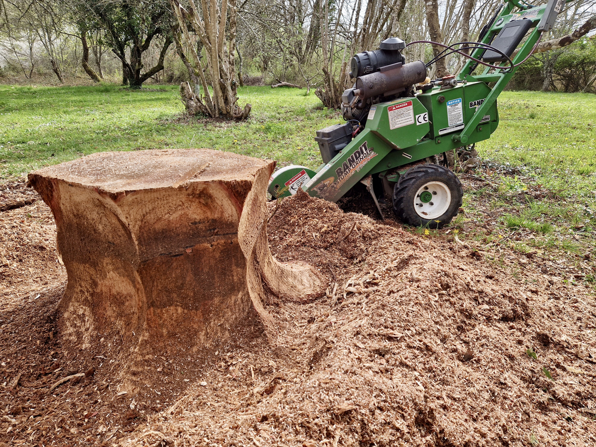 Stump_Grinding2