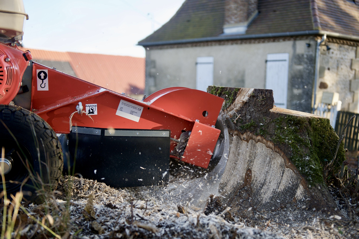 Stump_Grinding6