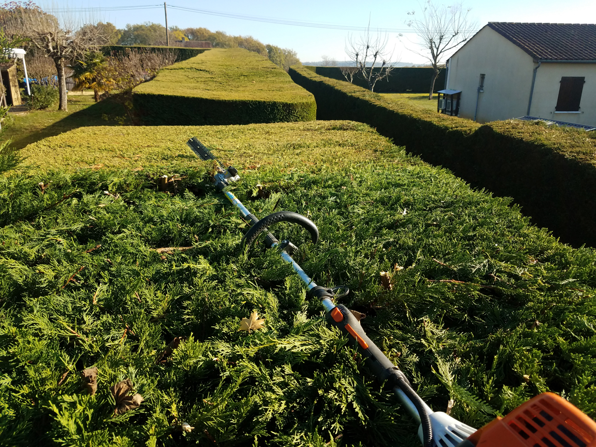 hedge_cutting8